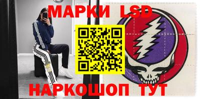 индика Дубна
