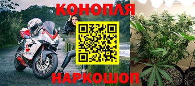 индика Дубна