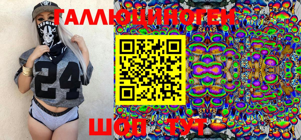 Медногорск  Галлюциногенные грибы Psilocybine cubensis  Вход с VPN 