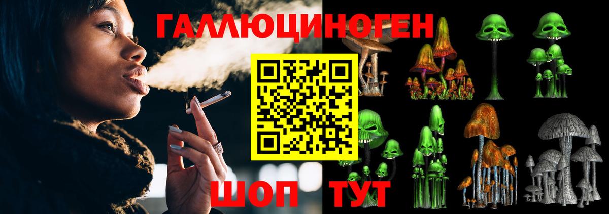 Галлюциногенные грибы Psilocybe Медногорск